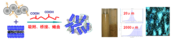 聚合氯化鋁絮凝原理 聚合氯化鋁絮凝原理